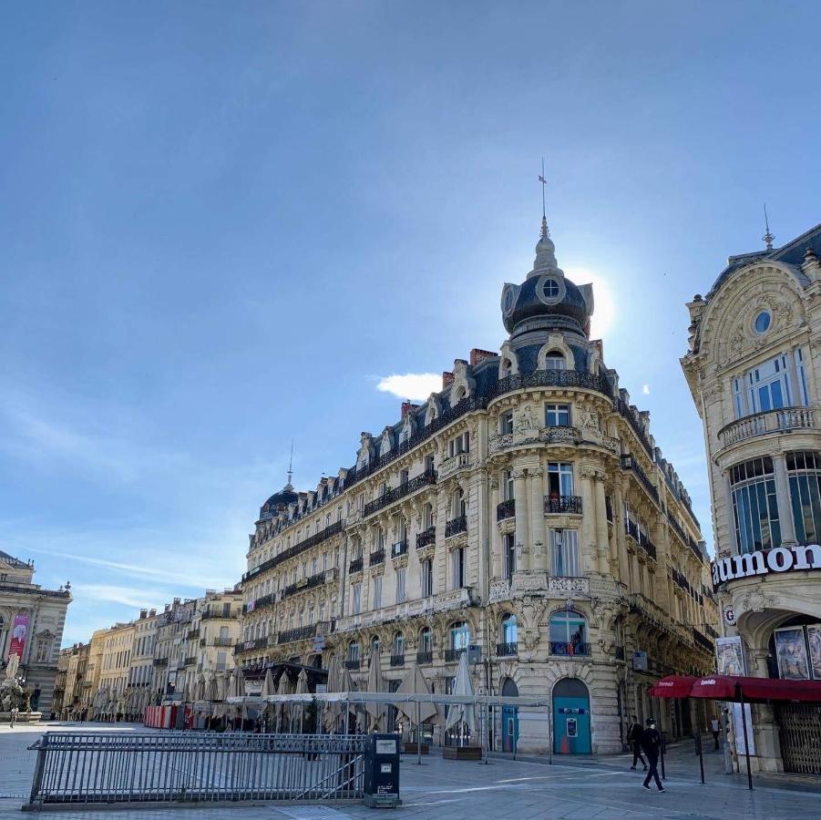 Home Chic Home - La Terrasse Bazille - Netflix モンペリエ エクステリア 写真
